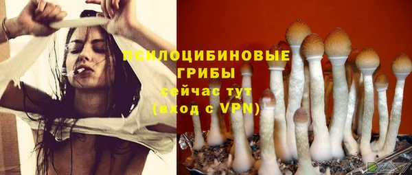 бутират Лабытнанги